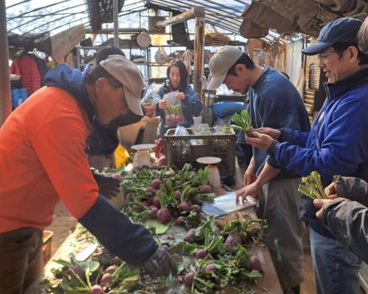 自然栽培 明石農園 援農