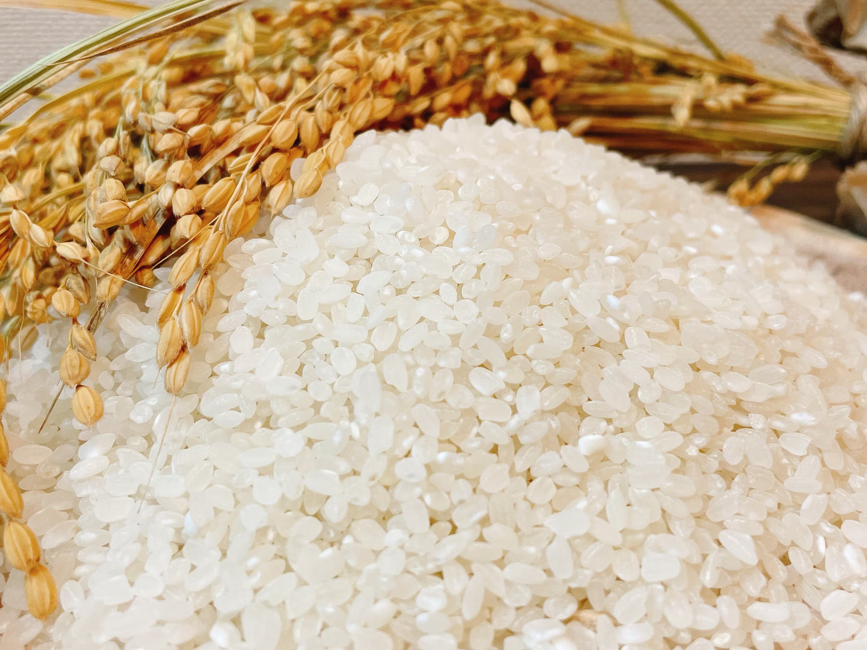 ヴィーガン&グルテンフリー米粉パン穂鹿