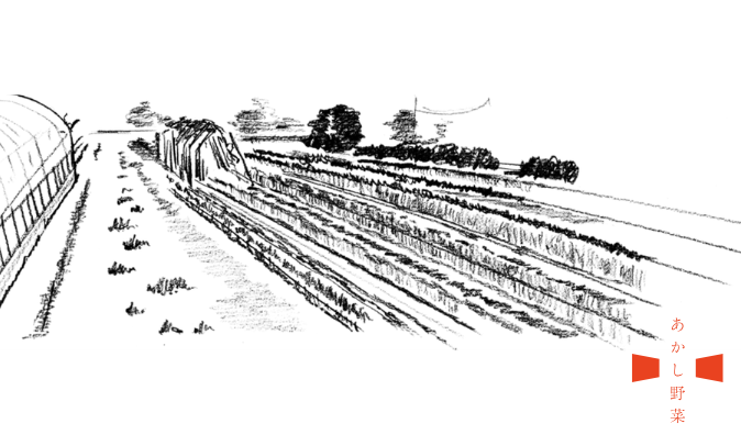 無肥料自然栽培 明石農園 あかし野菜