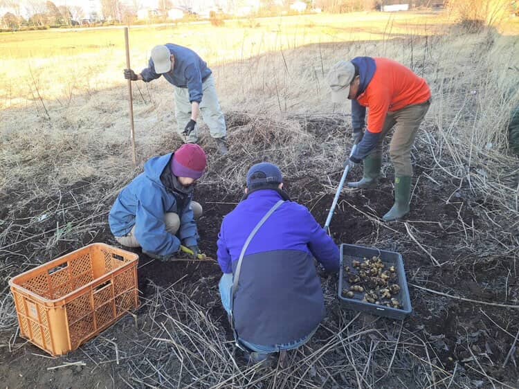 無農薬無肥料 自然栽培 あかし野菜 援農