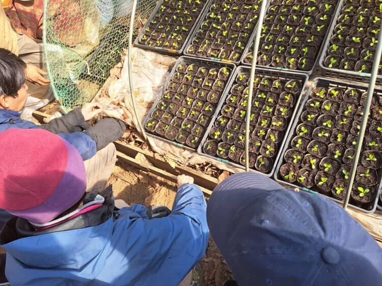 無農薬無肥料 明石農園 援農