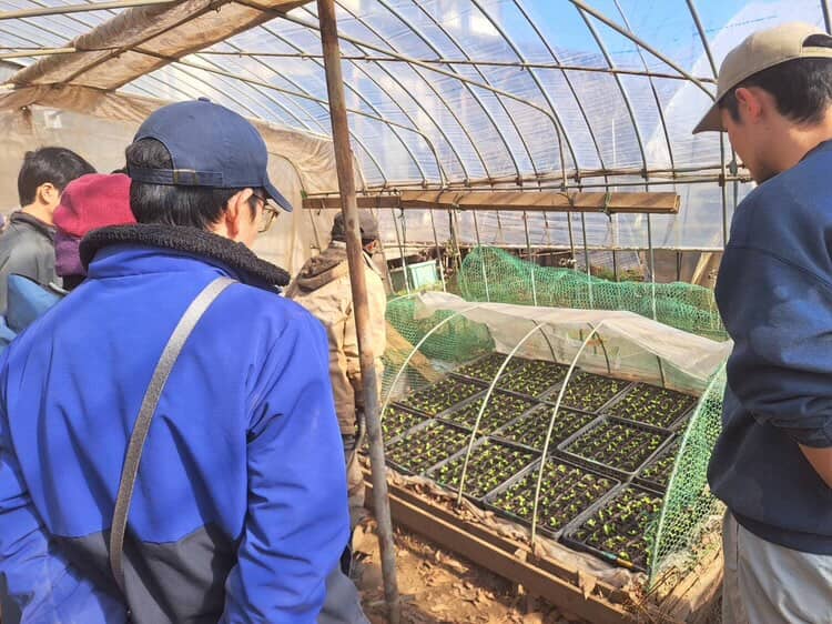 自然栽培 あかし野菜 援農