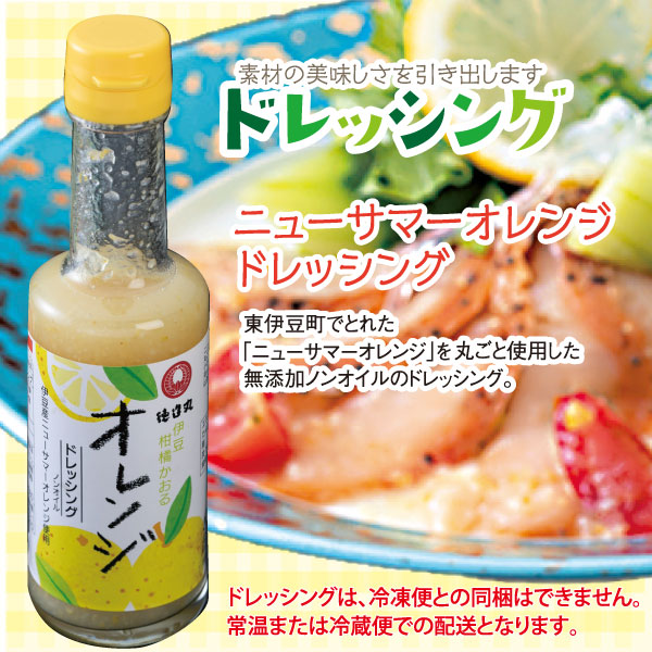 特造丸 ニューサマーオレンジドレッシング