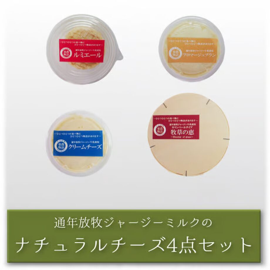 玉名牧場 ナチュラルチーズ4点セット