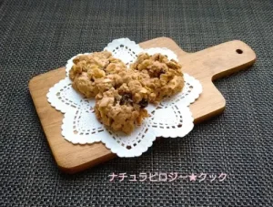 ナチュラビロジー★クック 米粉のクッキー（オートミール3枚）
