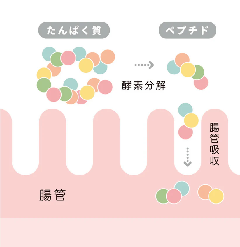 自然の恵味だし ペプチド製法