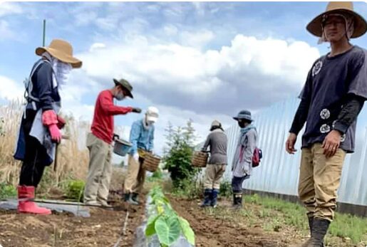 自然栽培 明石農園 ソラシドスクール