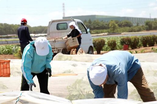 明石農園 農業福祉連携