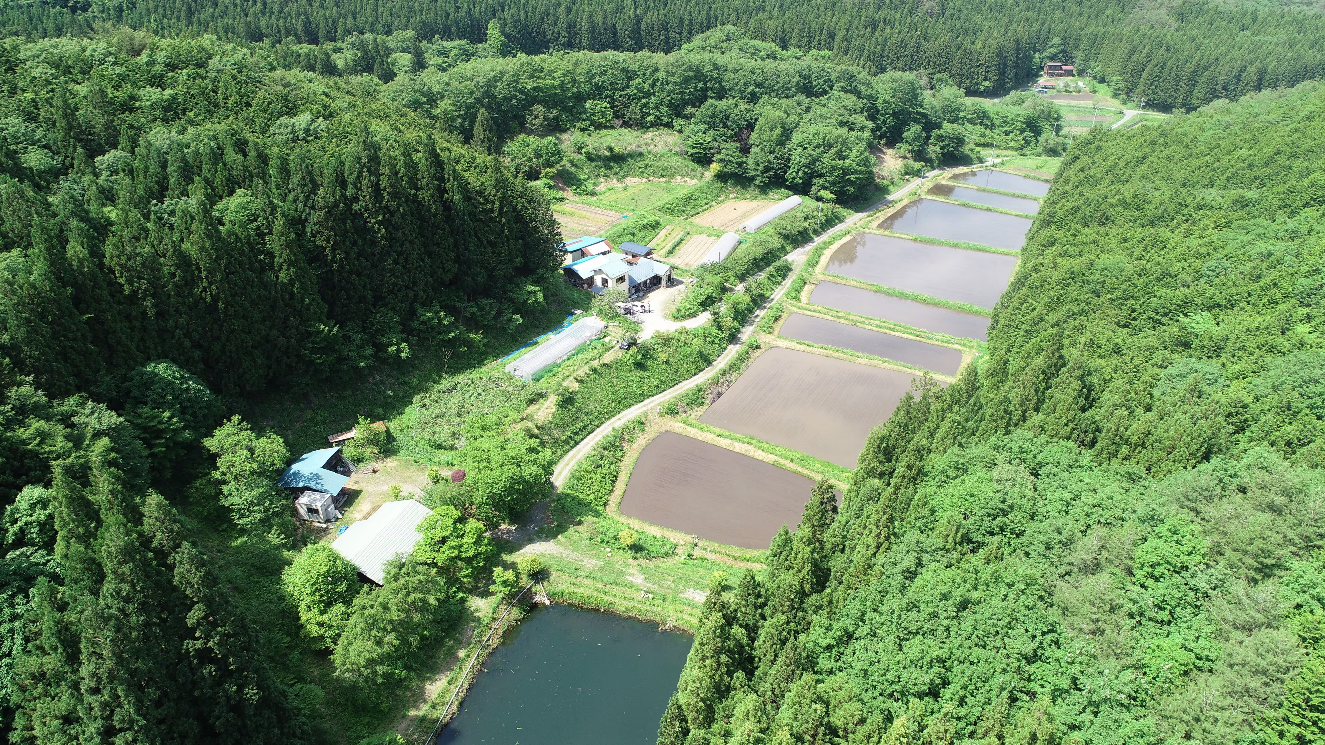 グルテンフリーお米のパン工房穂鹿